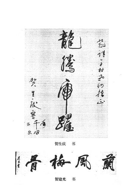 《贺家川村志》.pdf电子版_陕西省志预览图5