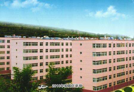 《《四十年东坡矿志》(1970-2010)》.pdf电子版_陕西省志预览图5