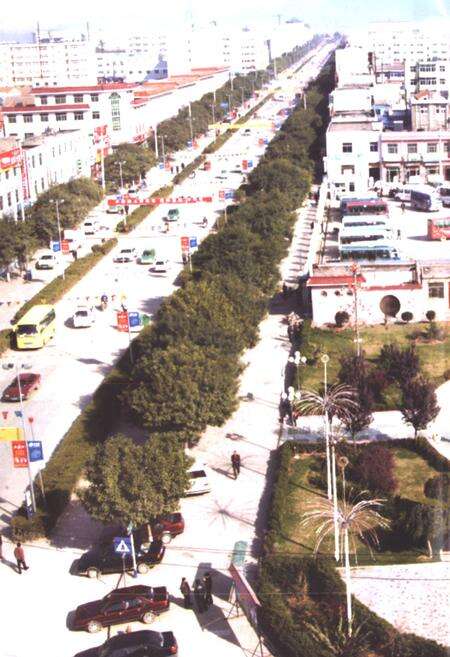 《洛川县人民代表大会志》.pdf电子版_陕西省志预览图2