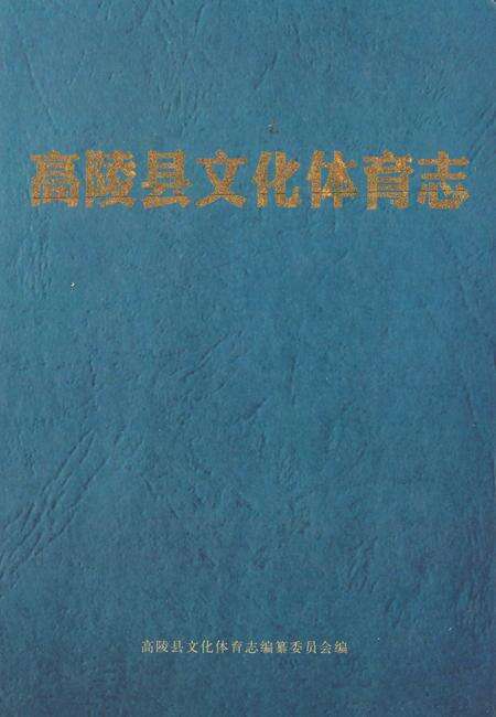 《高陵县文化体育志》.pdf电子版_陕西省志缩略图