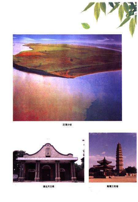 《高陵县文化体育志》.pdf电子版_陕西省志预览图4