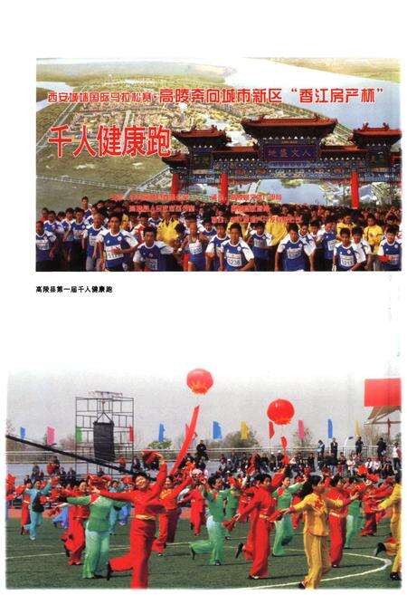 《高陵县文化体育志》.pdf电子版_陕西省志预览图5