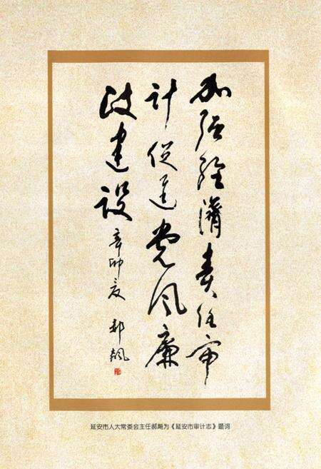 《延安市审计志(1997-2010)》.pdf电子版_陕西省志预览图4