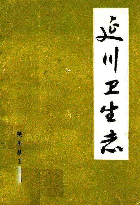 《延川卫生志》.pdf电子版_陕西省志缩略图