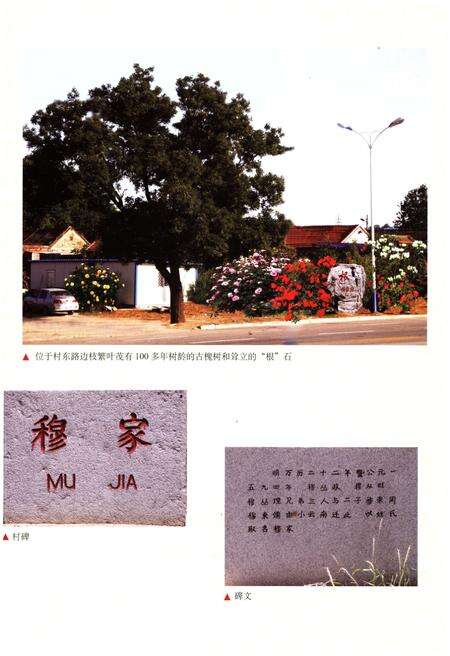 《穆家村志》.pdf电子版_陕西省志预览图4