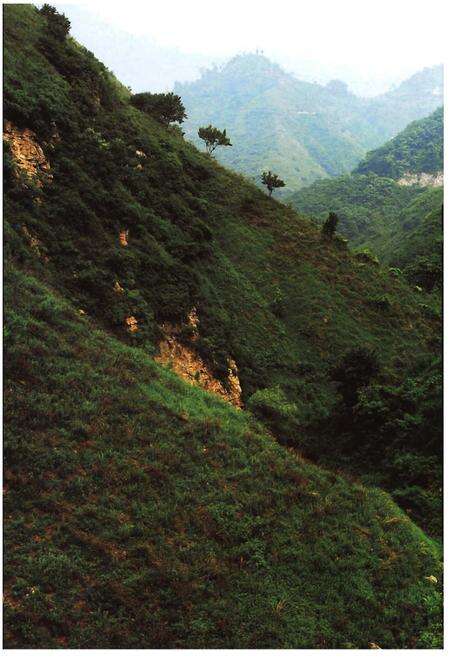 《骊山北麓乡土人物志》.pdf电子版_陕西省志预览图5