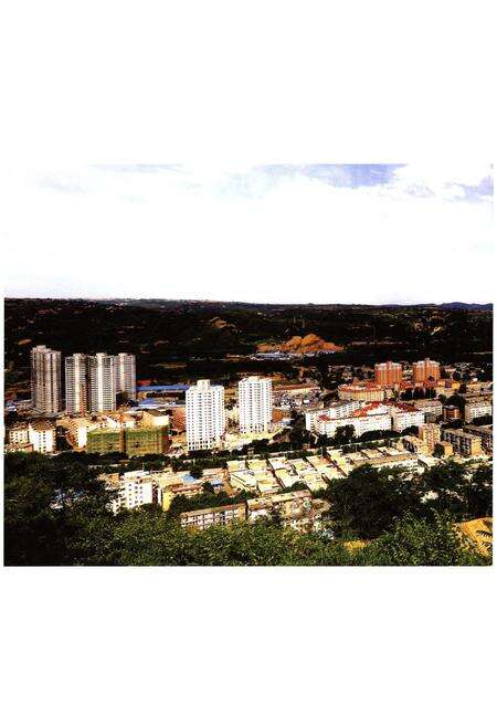 《印台区政协志 1984-2013》.pdf电子版_陕西省志预览图4