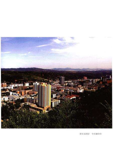 《印台区政协志 1984-2013》.pdf电子版_陕西省志预览图5