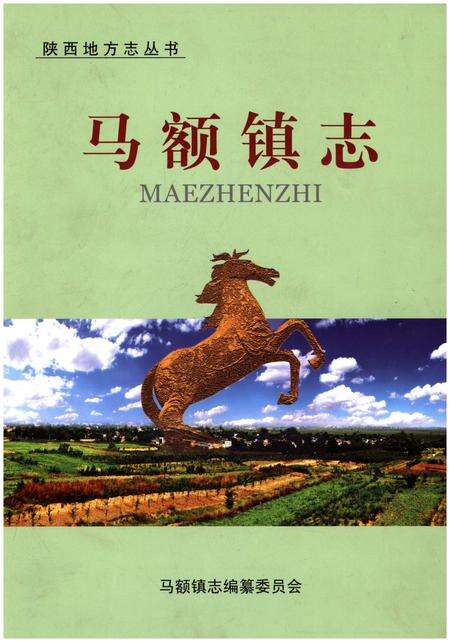 《马额镇志》.pdf电子版_陕西省志缩略图