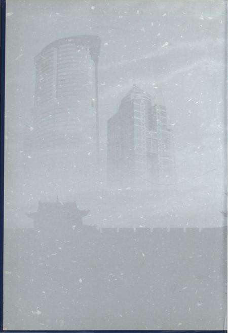 《陕西省2000年人口普查资料(计算机汇总)第二册》.pdf电子版_陕西省志预览图1