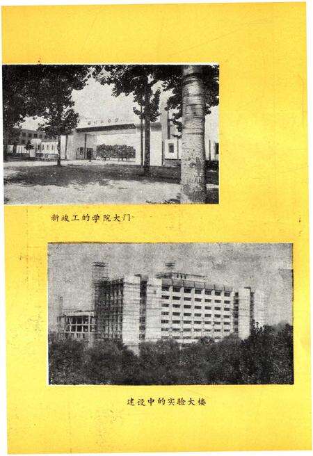 《西北林学院院史 1978-1989》.pdf电子版_陕西省志预览图5