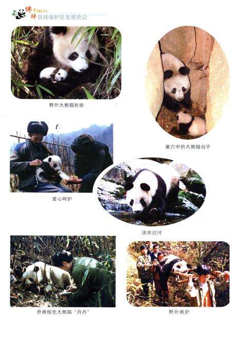 《佛坪自然保护区发展史记》.pdf电子版_陕西省志预览图4