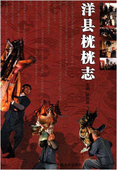 《洋县桄桄志》.pdf电子版_陕西省志缩略图