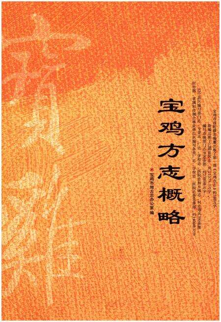 《宝鸡方志概略》.pdf电子版_陕西省志缩略图
