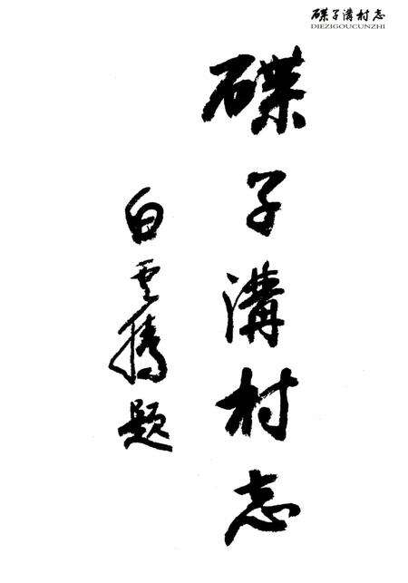 《碟子沟村志》.pdf电子版_陕西省志预览图2