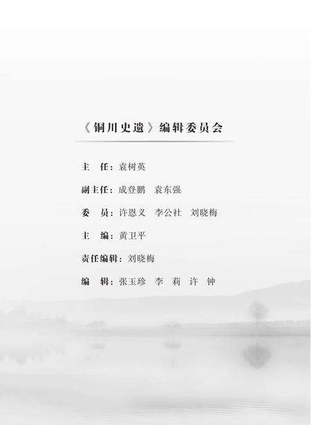 《铜川史遗》.pdf电子版_陕西省志预览图3
