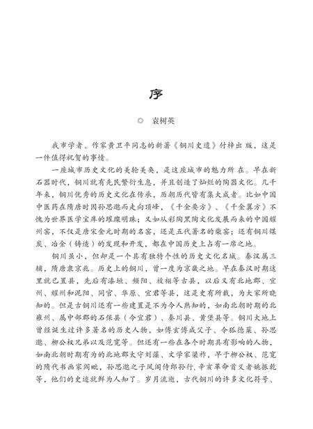 《铜川史遗》.pdf电子版_陕西省志预览图4