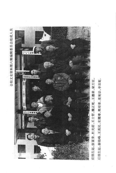 《合阳文史资料  第6辑  文化艺术专辑》.pdf电子版_陕西省志预览图3