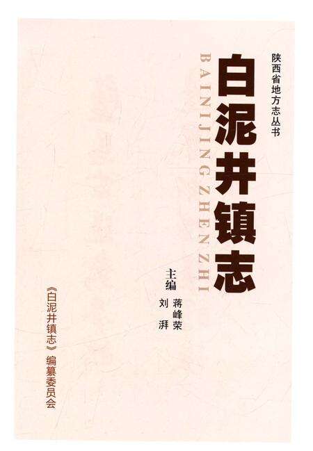 《白泥井镇志》.pdf电子版_陕西省志预览图1