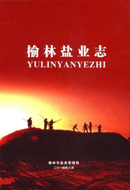 《榆林盐业志》.pdf电子版_陕西省志缩略图