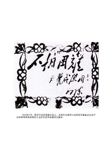 《榆林盐业志》.pdf电子版_陕西省志预览图4