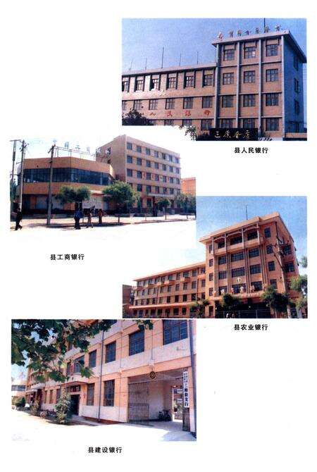 《三原金融志》.pdf电子版_陕西省志预览图2