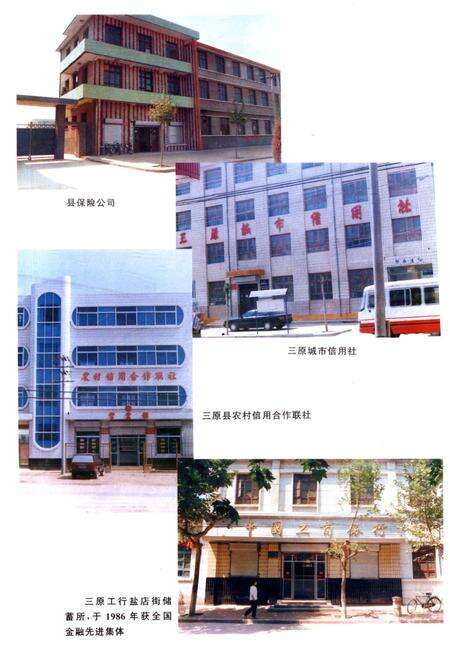 《三原金融志》.pdf电子版_陕西省志预览图3