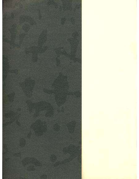 《北山门口村志》.pdf电子版_陕西省志预览图1