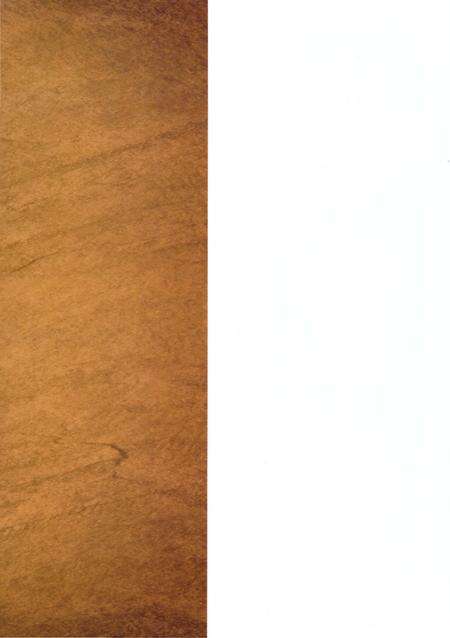 《西安邮政志》.pdf电子版_陕西省志预览图1