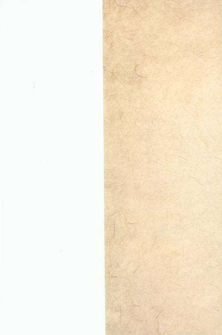 《仓村史》.pdf电子版_陕西省志预览图1