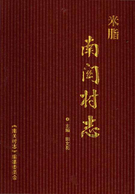 《南关村志》.pdf电子版_陕西省志缩略图