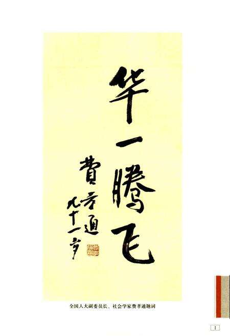 《华一村志》.pdf电子版_上海市志预览图3