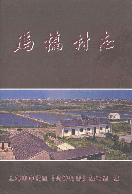 《冯桥村志》.pdf电子版_上海市志缩略图