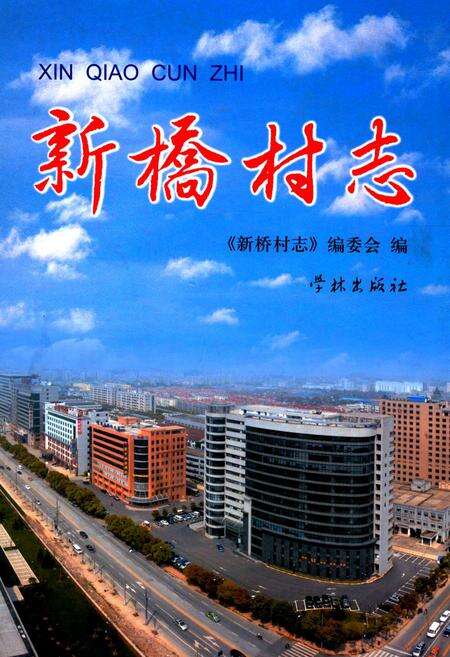 《新桥村志》.pdf电子版_上海市志缩略图