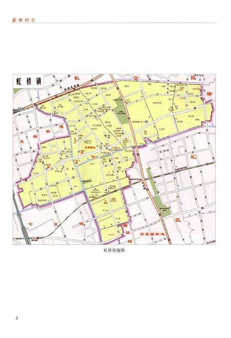 《新桥村志》.pdf电子版_上海市志预览图5