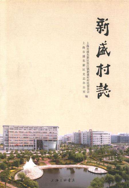 《新盛村志》.pdf电子版_上海市志缩略图