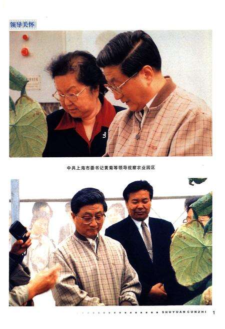 《树园村志》.pdf电子版_上海市志预览图1