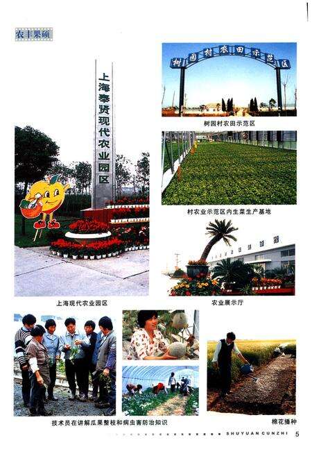 《树园村志》.pdf电子版_上海市志预览图5