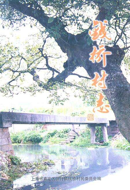 《《钱桥村志》》.pdf电子版_上海市志缩略图
