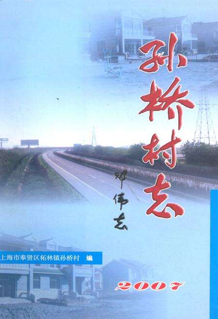 《孙桥村志2007》.pdf电子版_上海市志缩略图