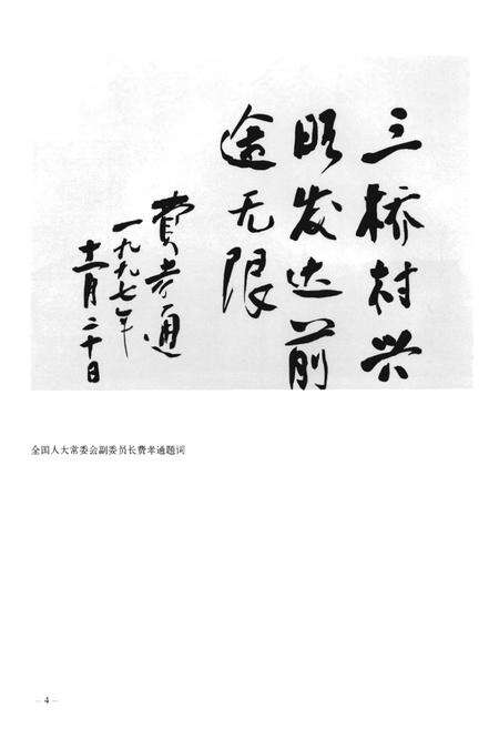 《浦东新区金桥镇三桥村志》.pdf电子版_上海市志预览图4