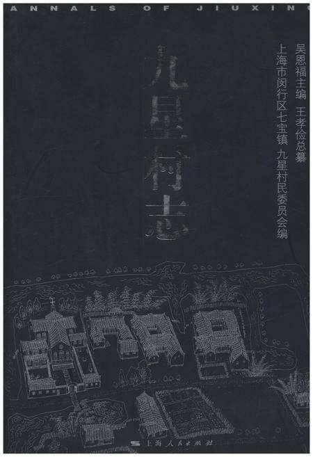 《九星村志》.pdf电子版_上海市志缩略图