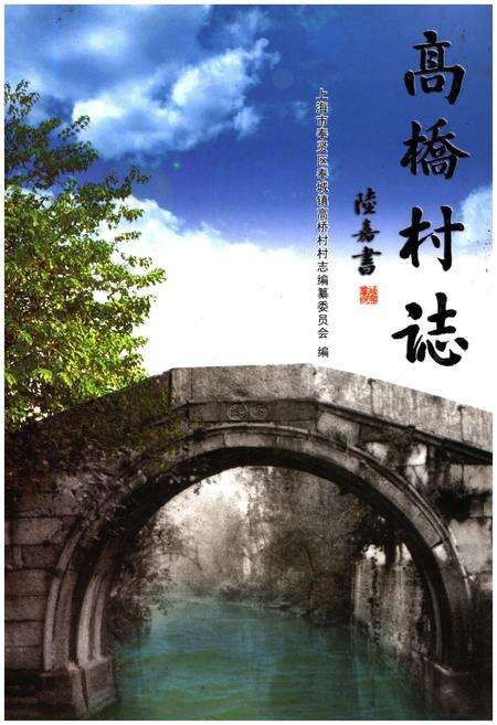 《高桥村志》.pdf电子版_上海市志缩略图