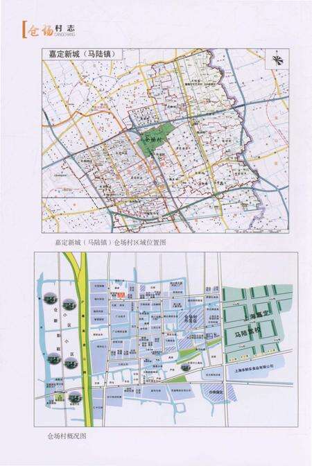 《仓场村志》.pdf电子版_上海市志预览图2