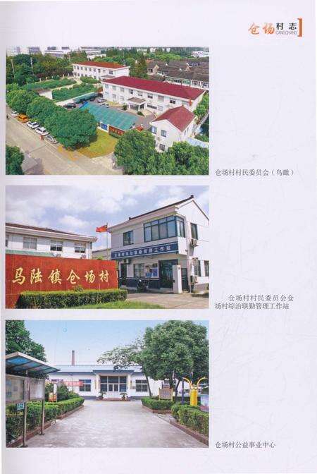 《仓场村志》.pdf电子版_上海市志预览图3