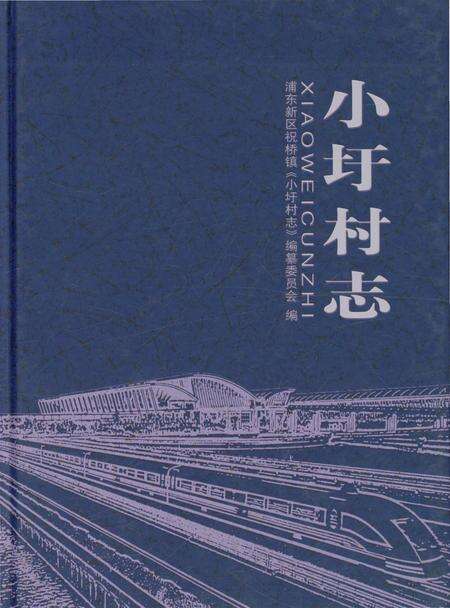 《小圩村志》.pdf电子版_上海市志缩略图