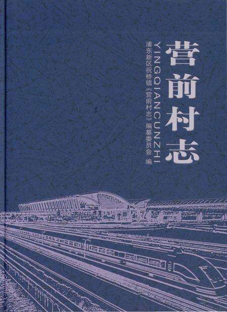 《营前村志》.pdf电子版_上海市志缩略图