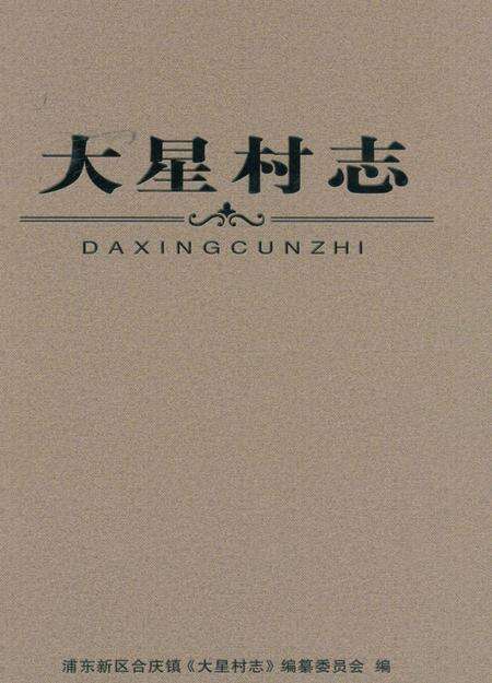 《大星村志》.pdf电子版_上海市志缩略图