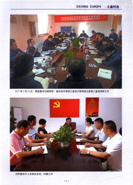 《大星村志》.pdf电子版_上海市志预览图5