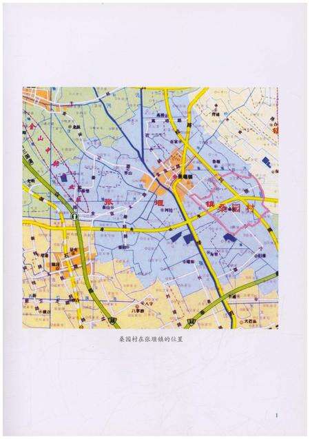 《桑园村志》.pdf电子版_上海市志预览图5